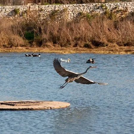 Apartamento La Terrazza Di Puglia Conversano