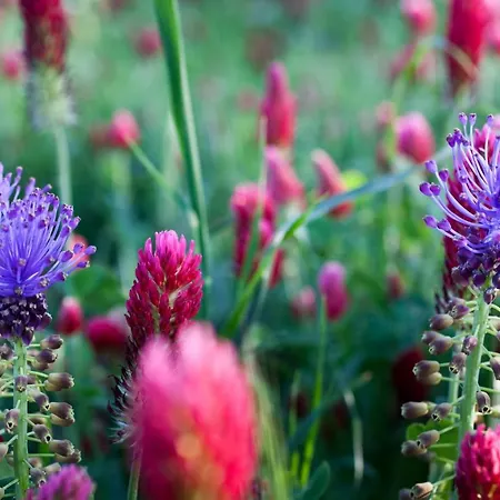 La Terrazza Di Puglia Διαμέρισμα
