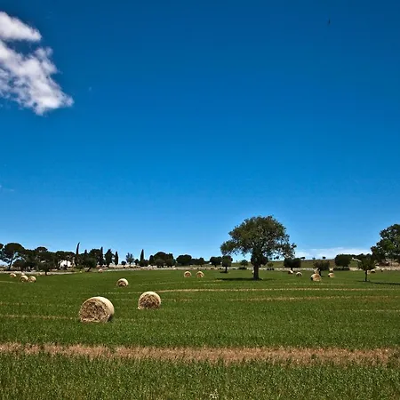 La Terrazza Di Puglia Appartamento *