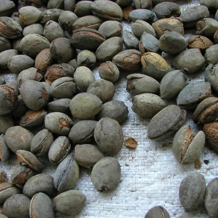 La Terrazza Di Puglia Διαμέρισμα *