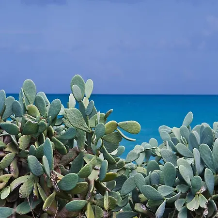 La Terrazza Di Puglia Διαμέρισμα *