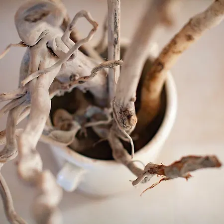 Διαμέρισμα La Terrazza Di Puglia Κονβερσάνο