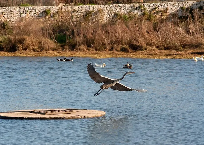 Apartment La Terrazza Di Puglia Conversano