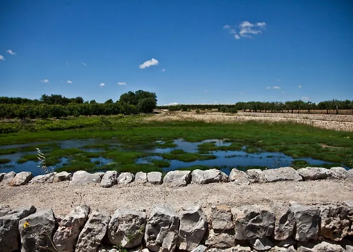 La Terrazza Di Puglia *
