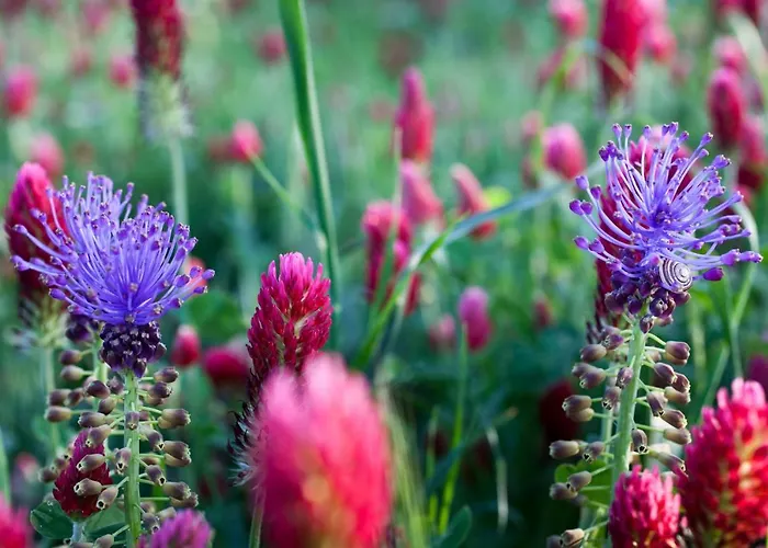 La Terrazza Di Puglia Apartment