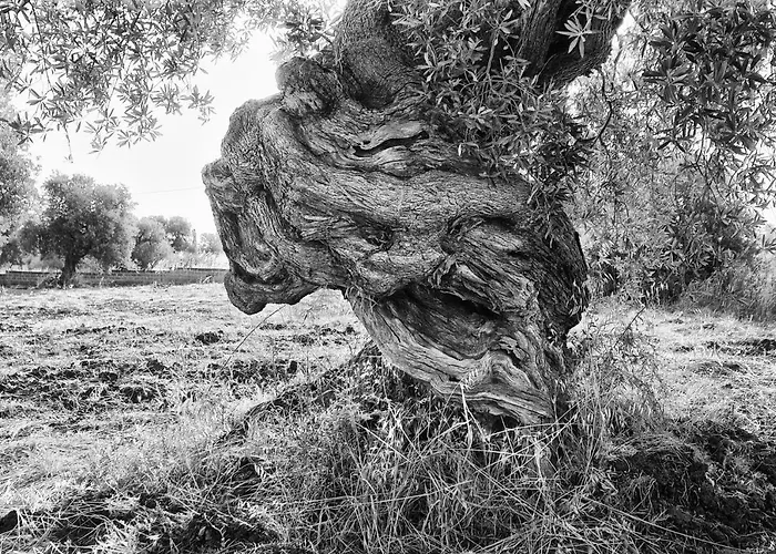 La Terrazza Di Puglia *