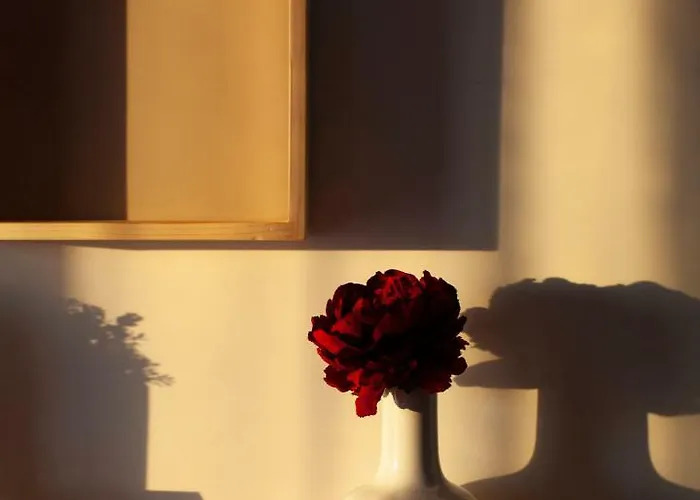 La Terrazza Di Puglia Apartment